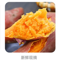 莲山九鲜六鳌蜜薯沙地黄心地瓜西瓜红广东甜薯番薯小香薯仔 净重9斤中果(2-6两)