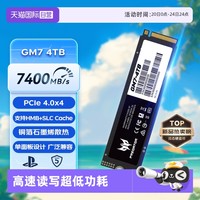 宏碁 掠夺者GM7/GM7000 GM9000 1T/2T/4TB M.2 SSD固态硬盘 1TB 宏碁掠夺者1TB   GM9000 PCIe 5.