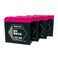 爱玛 电动车门店铅酸电池48V60V72电池 48V20Ah