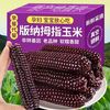云南 西双版纳 紫糯儿童拇指玉米 5斤