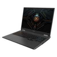 神舟 战神T10 Pro 16英寸游戏本(i7-14700HX 32G 1TB 2.5K 300Hz)