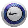 NIKE 耐克 足球 标准5号球 PL NK CLUB ELITE 英超25周年 FZ3130-101