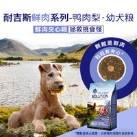 SOLUTION 耐吉斯 冻干生骨肉鲜肉狗粮 6kg（1.5kg*4包）
