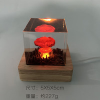 知酷蘑菇云小夜灯广岛之恋长崎不眠夜奥本海默原爆炸周边摆件树脂玩具 爆炸蘑菇云 木灯+精美包装一套