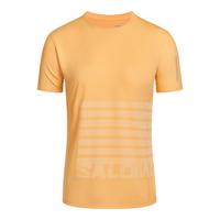 萨洛蒙(Salomon)女款 户外运动休闲轻量透气舒适短袖T恤 SENSE AERO SS TEE GFX 暖杏色 C26968 XL