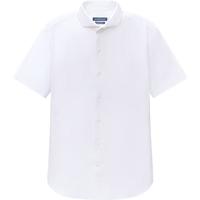 十如仕免烫皱衬衫男短袖衬衣商务正装 100支纱 401 白色-修身版 42