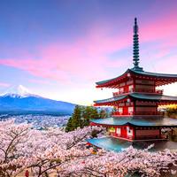 日本旅游6天5晚私家小团  体验富士山景点-邂逅萌鹿大阪奈良京都三古都游览 和风经典 1月30日 四星酒店