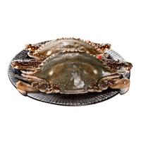 京觅 舟山梭子蟹3-5两/只2斤装 鲜活梭子蟹 保鲜不保活 高性价比螃蟹 源头直发