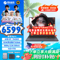机械革命 蛟龙16Pro游戏本 2025新品锐龙R9HX 旗舰AIPC 满血RTX5050/5060/5070电竞设计办公笔记本电脑