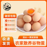 我老家 初生蛋 40枚 1.6kg