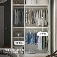 宜家（IKEA）PAX帕克思卧室衣柜家用现代简约小户型双门衣橱储物柜 双门衣柜组合3(100宽x60深x236高)