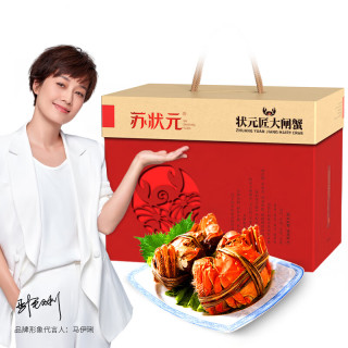 苏状元 大闸蟹2.3-2.6两8只 鲜活六月黄去绳足重螃蟹海鲜礼盒源头直发