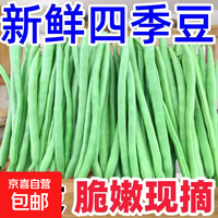 京喜加 高山四季豆新鲜应季蔬菜豆角 2斤