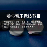qdc HiFi 音乐耳机 V3二代. 直插型
