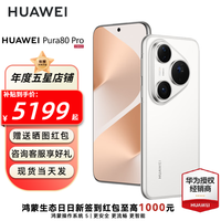 华为 HUAWEI Pura 80 Pro 新品旗舰手机 p80pro 一英寸主摄 个性色卡 AI辅助构图 华为pura80pr 12GB+512GB