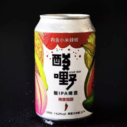 高大师 Master Gao 酸嘢 单倍辣（内含小米辣） 4.2%vol 酸IPA啤酒 330ml*6听