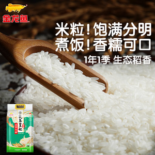 金龙鱼乳玉皇妃五常大米5KG*1袋稻花香大米