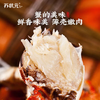 【活蟹】苏状元大闸蟹3.5-3.8两10只 鲜活六月黄去绳足重螃蟹海鲜礼盒源头直发