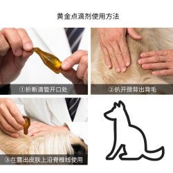 黄金点 滴剂猫咪狗狗用猫癣皮肤病掉毛皮炎异味犬猫辅助皮肤营养修复滴液 0-10kg犬用(整盒4支)