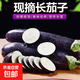 京喜 寿光农家 紫茄子 5斤 新鲜蔬菜 烧烤搭档
