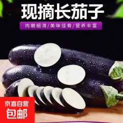 京喜 寿光农家 紫茄子 5斤 新鲜蔬菜 烧烤搭档
