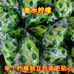 友谊森 云南无籽香水柠檬 青柠檬 新鲜柠檬 奶茶店专用柠檬 包邮 新鲜水果批发