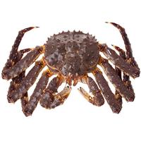 鲟食 帝王蟹俄罗斯大螃蟹生鲜 超大皇帝蟹鲜活冷冻海鲜 净重4.1-4.5斤帝王蟹