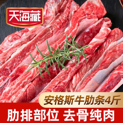 天海藏 安格斯牛肋条去骨原切纯肉烧烤炖牛肉食材牛肋排巴西等地