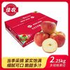 佳农 云南昭通红露苹果4.5斤冰糖心25年新产季新鲜水果多规格