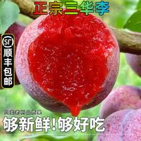 百亿补贴：馋媳妇 正宗广西三华李5.1斤孕妇应季水果红心肉李子彩箱
