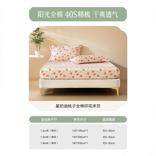 百丽丝床笠纯棉清新水果印花床笠单件宿舍家用单人床笠 全棉印花床笠 120cm*195cm