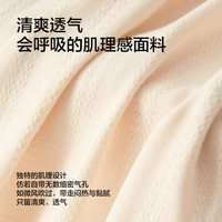有棵树 YOUKESHU【10A抗菌防螨】A类婴儿棉内裤女肌理透气桑蚕丝加长裆无痕三角裤 【10A抗菌防螨】蓝+肤+绿 XL 【体重125-140斤】