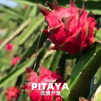 京鲜生 树上熟红心火龙果 4.5斤装 单果200g 精选大果 源头直发