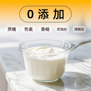 川秀酸奶发酵菌粉 60菌量贩装 家用自制益生菌发酵剂