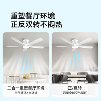 雷士 星朗系列 直流变频全光谱 64W 风扇灯