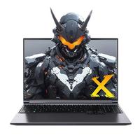 MECHREVO 机械革命 极光X 十四代酷睿版 16英寸 游戏本 灰色（酷睿i7-14650HX、RTX 4070 8G、16GB、1TB SSD、2.5K、165Hz）