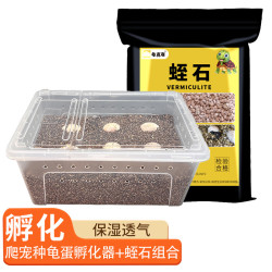 龟真寿 乌龟蛋孵化套装 爬宠种龟蛋孵化器无菌蛭石守宫蛇蛋孵化盒孵化箱