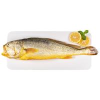 三都港深水大黄鱼350g 宁德黄花鱼 生鲜鱼类 海鲜水产 深海鱼