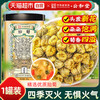 桑克拉 SUN CLARA 公和堂胎菊白菊茶 50g/瓶