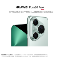 华为 HUAWEI Pura 80 Pro+ 手机 16GB+512GB 釉青