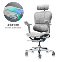 保友办公家具 保友金豪E2 Pro 旗舰人体工学椅 办公椅电脑椅电竞椅 银白美国网