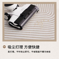 KAYE地毯客厅多巴胺沙发茶几毯高级轻奢感垫子全铺卧室免洗房间床边毯 SJR-K吉姆-07 140X200cm