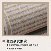 KAYE地毯客厅多巴胺沙发茶几毯高级轻奢感垫子全铺卧室免洗房间床边毯 SJR-K吉姆-03 160X230cm