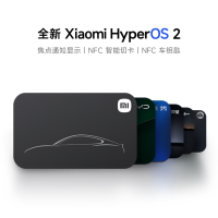小米 Xiaomi 手环9 Pro 银色