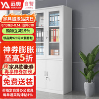 远奥 文件柜铁皮柜钢制资料柜办公柜档案储物柜大器械文件柜精品款