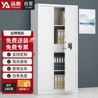 远奥 保密柜办公室铁皮柜资料柜文件柜灰白色钢制密码锁通门档案凭证柜