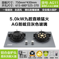 金钻皇冠 Golden Diamond crown 590小开孔嵌入式燃气灶双灶家用液化气煤气炉灶天然气灶