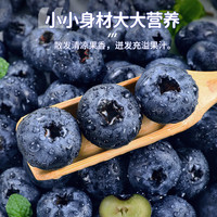 优圣园 山姆伯伯 蓝莓巨无霸云南花香新鲜水果礼盒中秋送礼 净600g