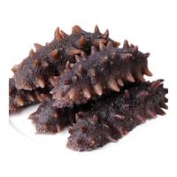 渔公鱼夫【无冰】海参即食大连辽参野生海参海生海叁非淡干鲜食海参 （福建海参）高口感