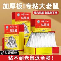 蓝洁仕 进口胶水老鼠粘强力粘鼠板胶粘大老鼠贴超强家用神器一窝端黏鼠板
